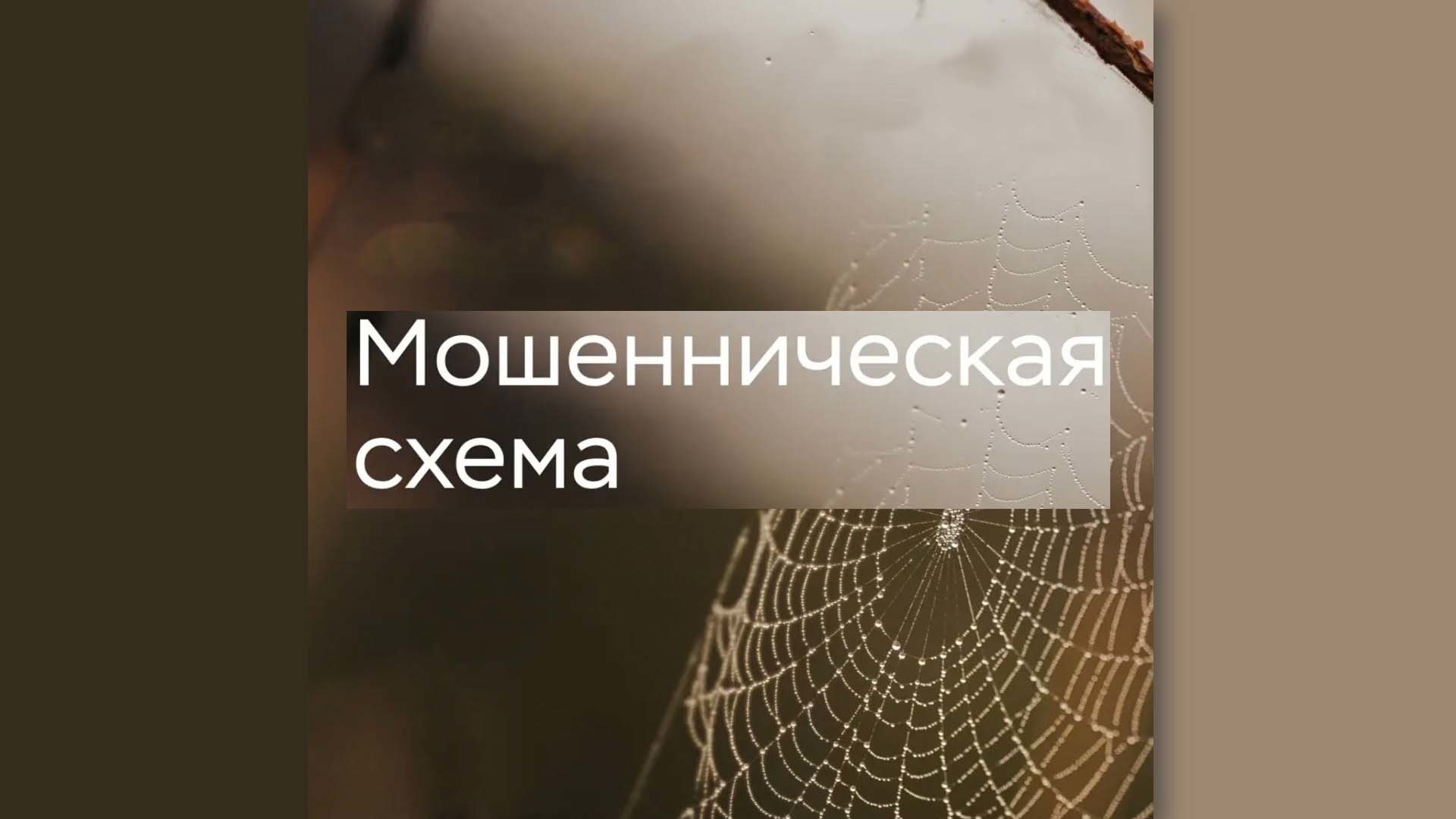 Мошенническая схема